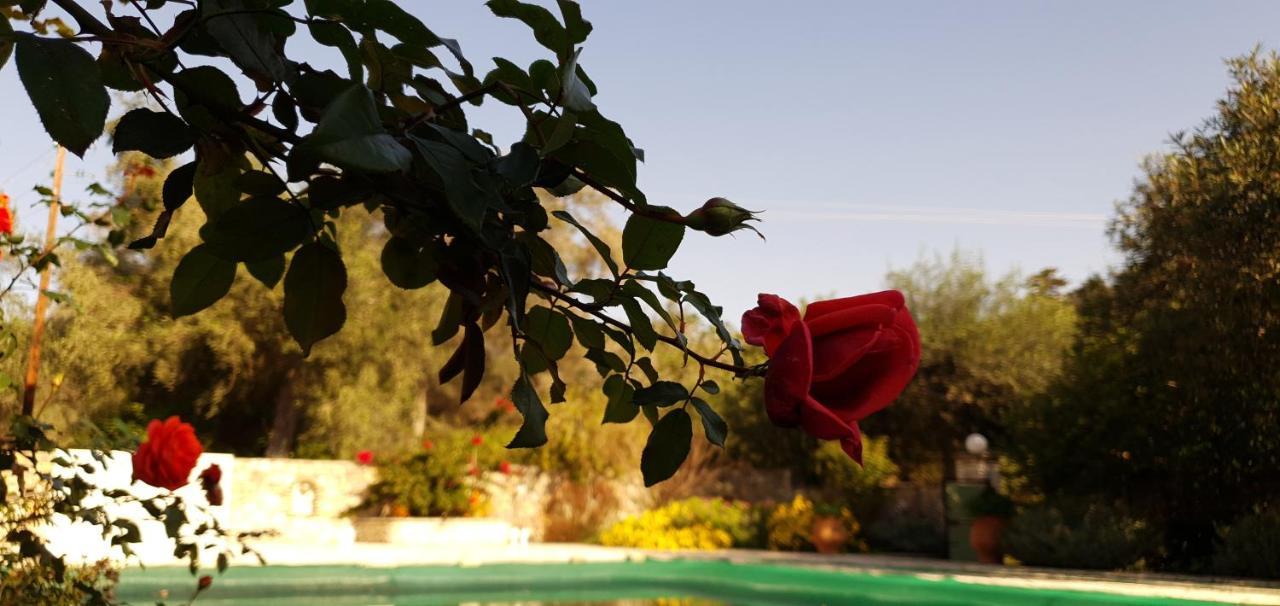 Livadi Studios With Pool Láka Kültér fotó
