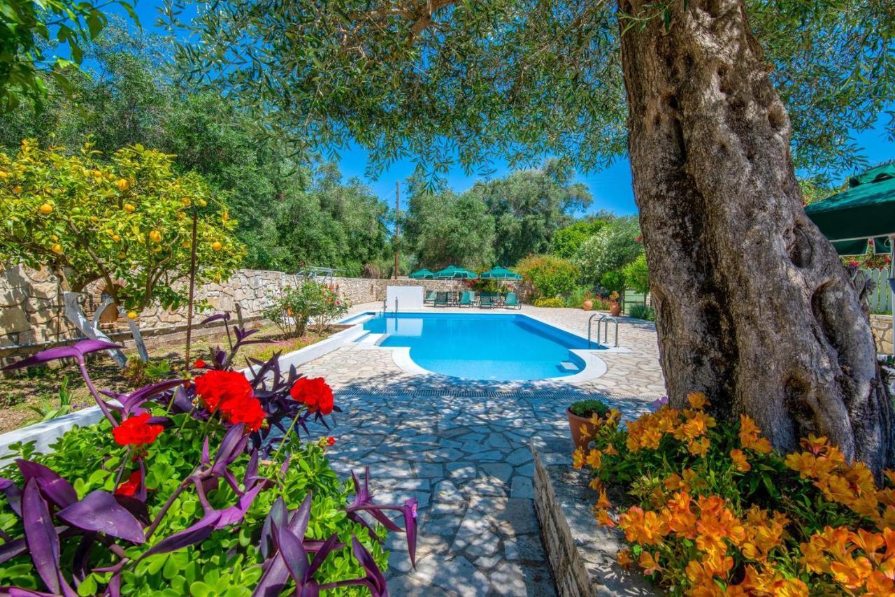 Livadi Studios With Pool Láka Kültér fotó